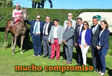 ejemplar caballo mucho compromiso