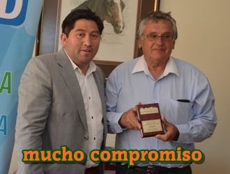 ejemplar caballo mucho compromiso