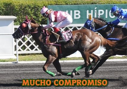 ejemplar MUCHO COMPROMISO