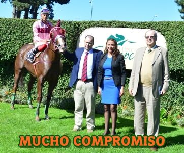 ejemplar MUCHO COMPROMISO