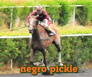 negro pickle