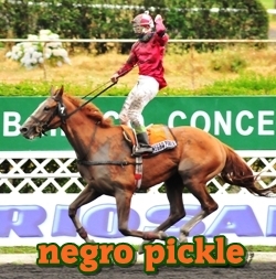 negro pickle