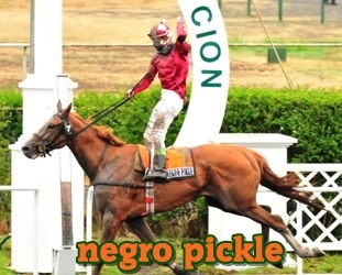 negro pickle