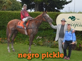 negro pickle