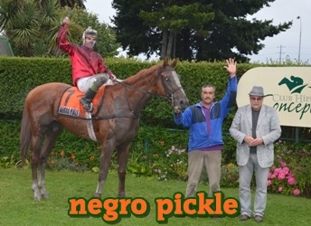 negro pickle