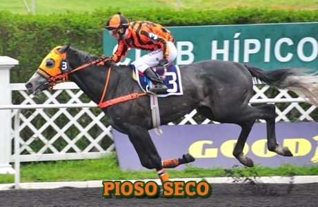 ejemplar PIOSO SECO