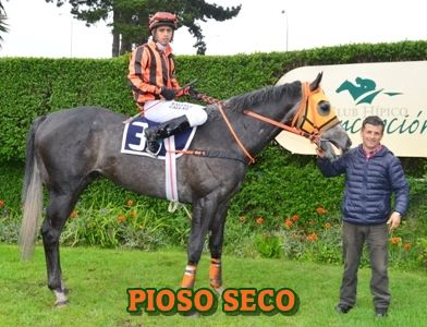 ejemplar PIOSO SECO