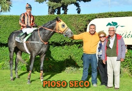 ejemplar PIOSO SECO