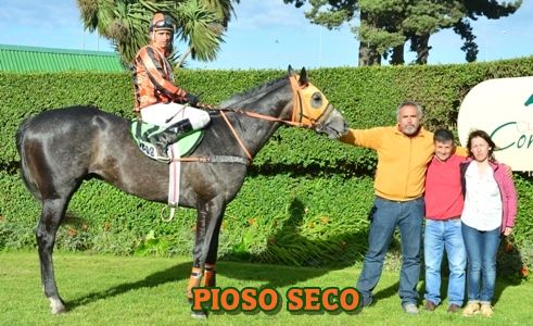 ejemplar PIOSO SECO