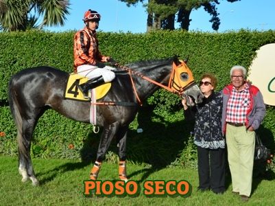 ejemplar PIOSO SECO