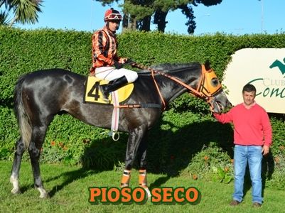 ejemplar PIOSO SECO