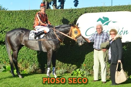 ejemplar PIOSO SECO