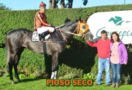 ejemplar PIOSO SECO