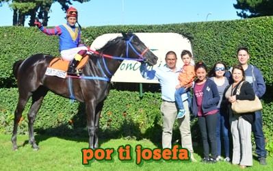 ejemplar caballo por ti josefa