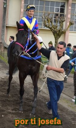 ejemplar caballo por ti josefa