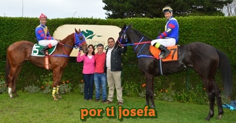 ejemplar caballo por ti josefa