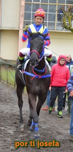 ejemplar caballo por ti josefa