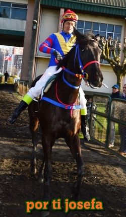 ejemplar caballo gran capello y por ti josefa empate