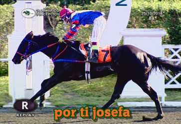 ejemplar caballo por ti josefa