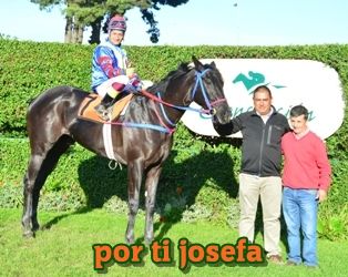 ejemplar caballo por ti josefa