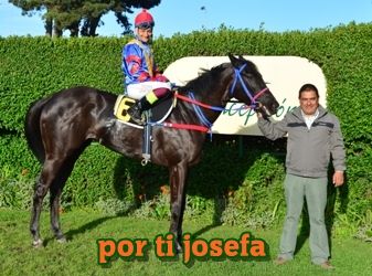 ejemplar caballo por ti josefa