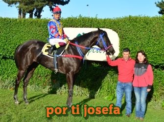 ejemplar caballo por ti josefa