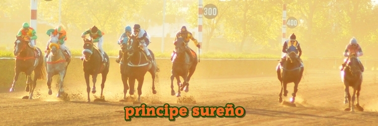 principe sureo