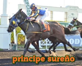 principe sureo