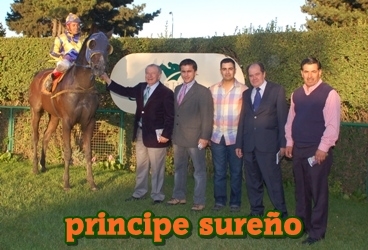 principe sureo