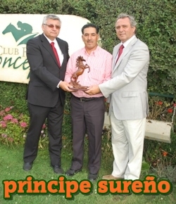 principe sureo