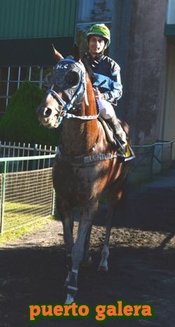 ejemplar caballo puerto galera