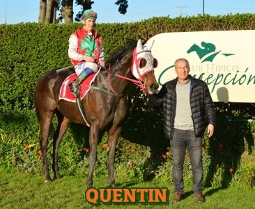 ejemplar QUENTIN