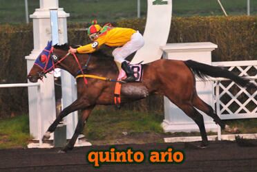 quinto ario