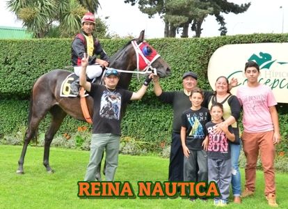 ejemplar REINA NAUTICA