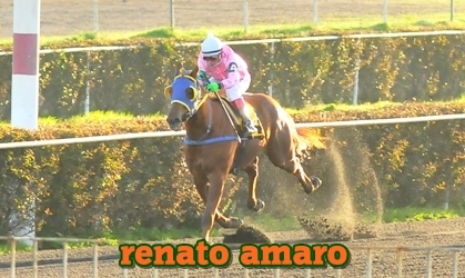 renato amaro