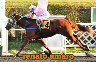 renato amaro