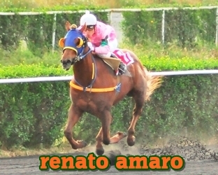 renato amaro