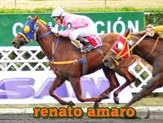 renato amaro