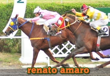 renato amaro