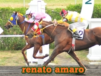 renato amaro