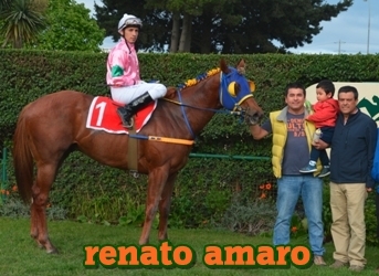 renato amaro