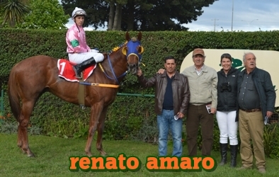 renato amaro