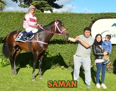 ejemplar SAMAN