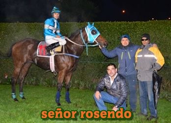 ejemplar caballo seor rosendo