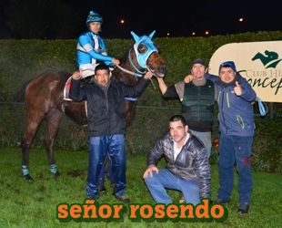 ejemplar caballo seor rosendo