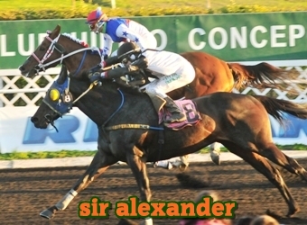 sir alexander