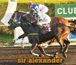 sir alexander