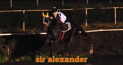 sir alexander