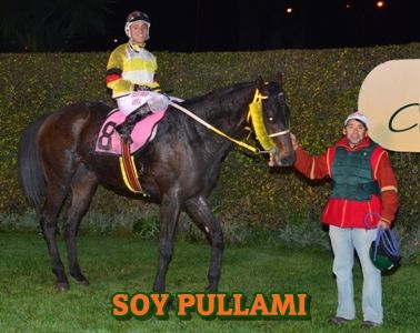 ejemplar SOY PULLAMI