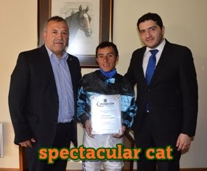 ejemplar caballo spectacular cat